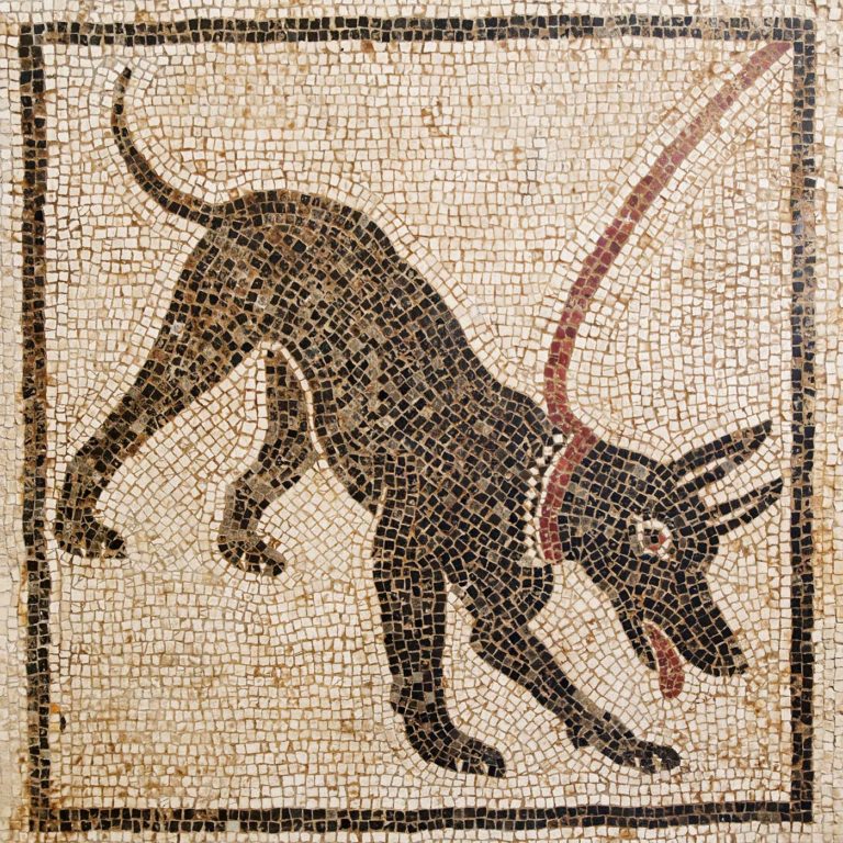 Un mosaico antiguo de un perro de Pompeya, ¡se puede hacer un viaje de un día desde Roma! (Crédito: Wikimedia)